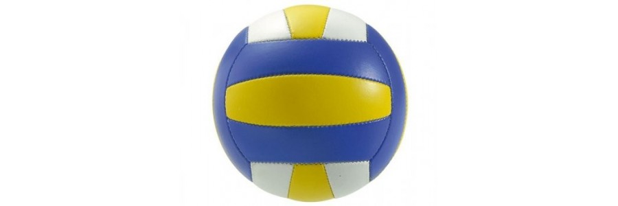 Volley e pallavolo